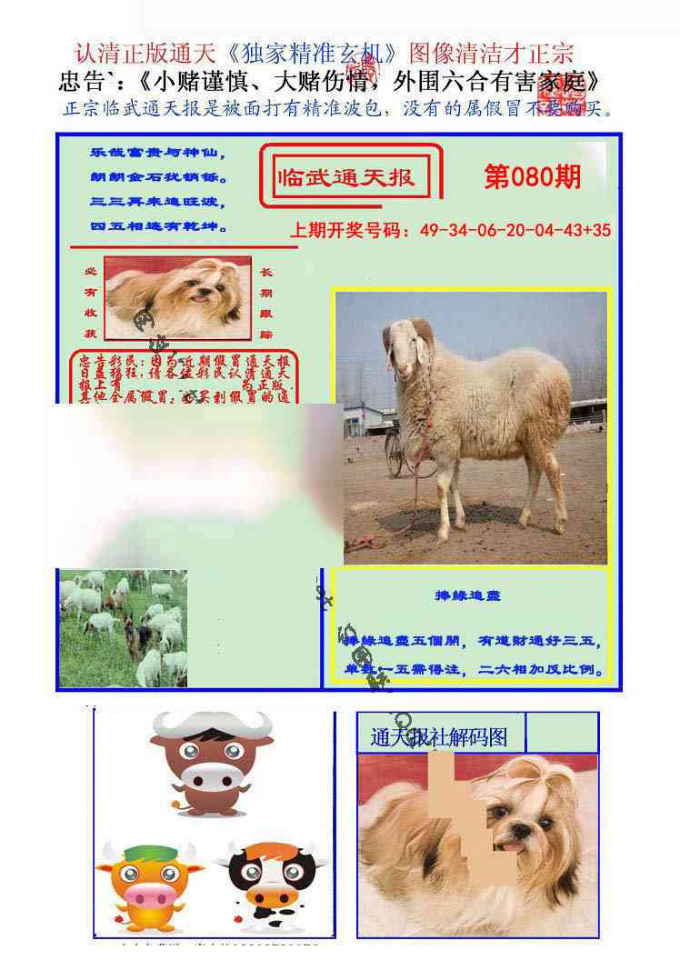 080期临武通天报[图]